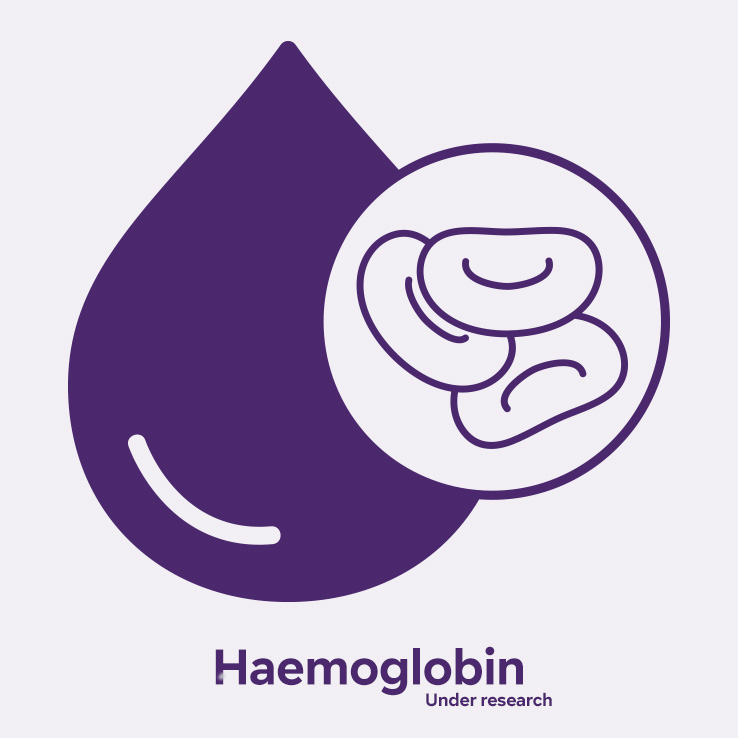 Haemoglobin