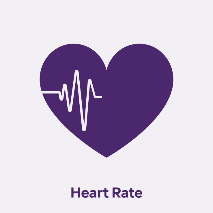 heart rate